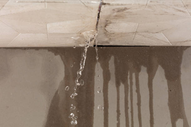 Professional Flood Damage Cleanup technician working in Franktown, CO